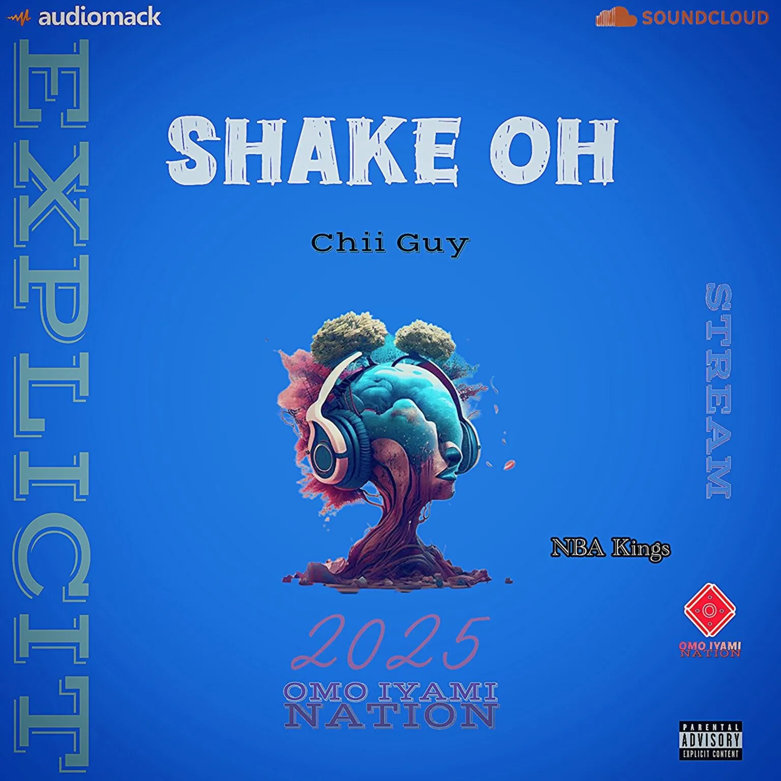 Chii Guy – Shake Oh Ft. NBA Kings